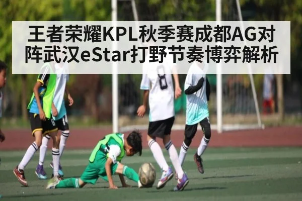 王者荣耀KPL秋季赛成都AG对阵武汉eStar打野节奏博弈解析
