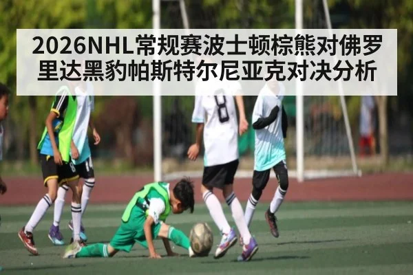 2026NHL常规赛波士顿棕熊对佛罗里达黑豹帕斯特尔尼亚克对决分析